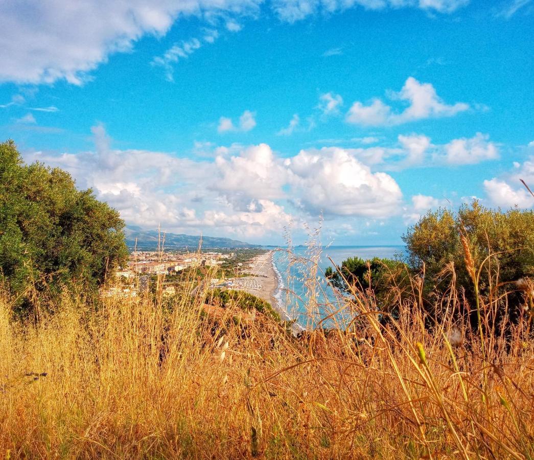 Mediterraneo Scalea Dış mekan fotoğraf